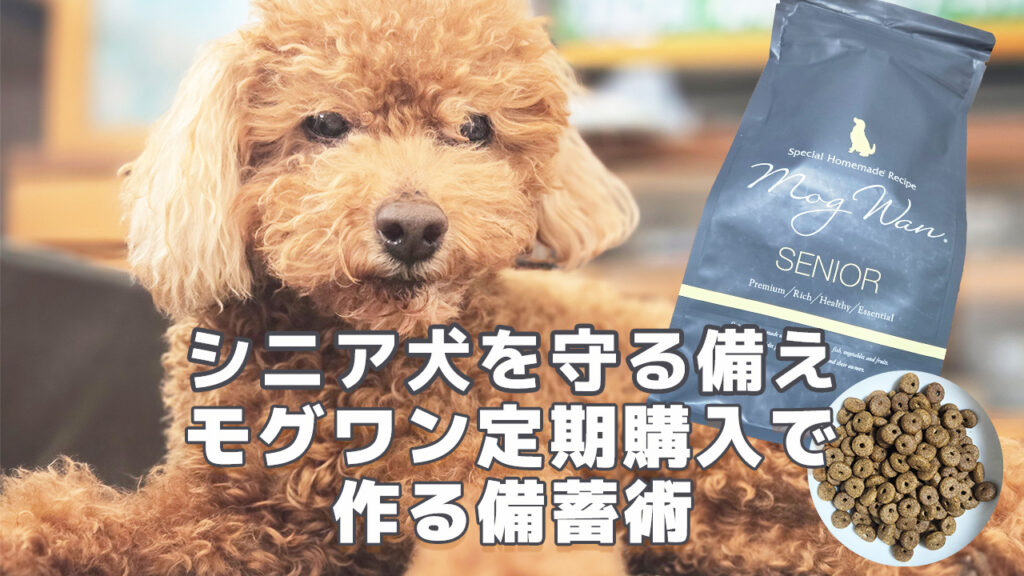 シニア犬を守る備えモグワン定期購入2