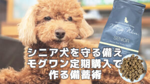 シニア犬を守る備えモグワン定期購入2