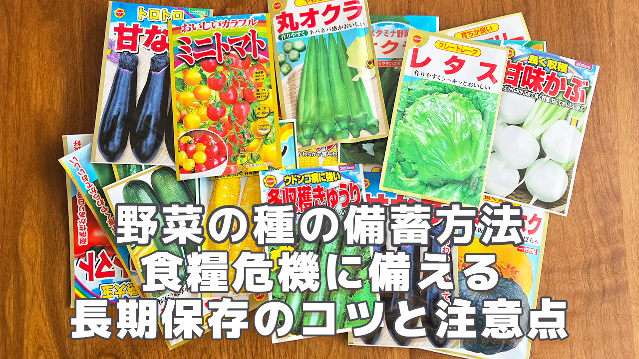 野菜の種の備蓄方法 食糧危機に備える長期保存のコツと注意点
